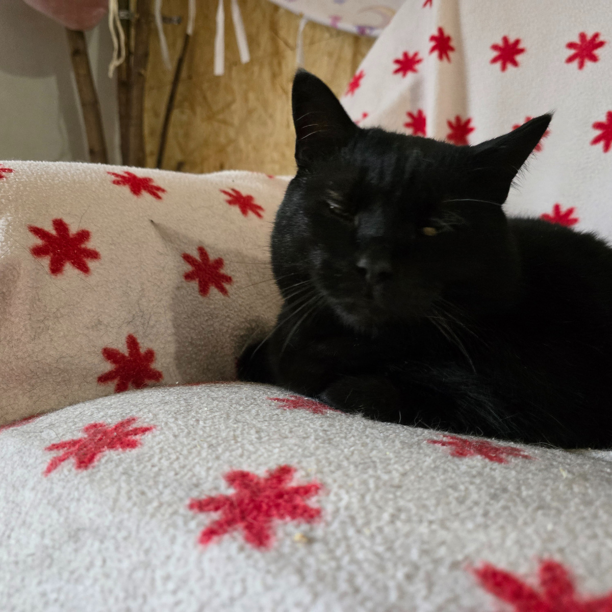 главное - умиротворение в душе