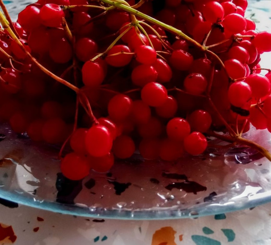 Ягоды калины