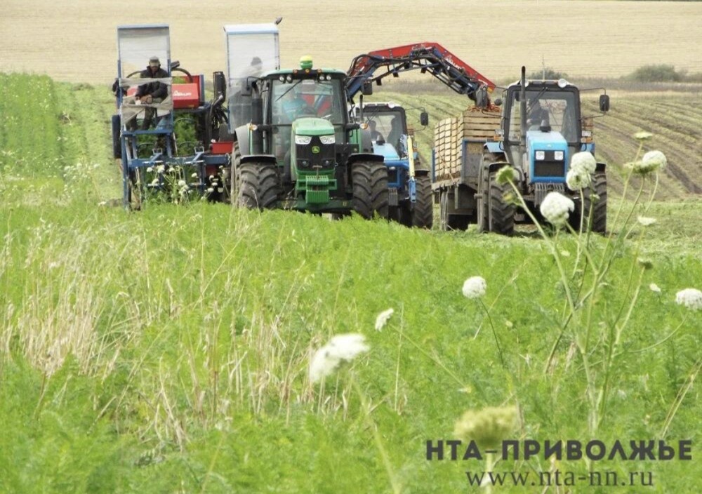    Чувашия представит достижения АПК на "Золотой осени-2025" в Москве