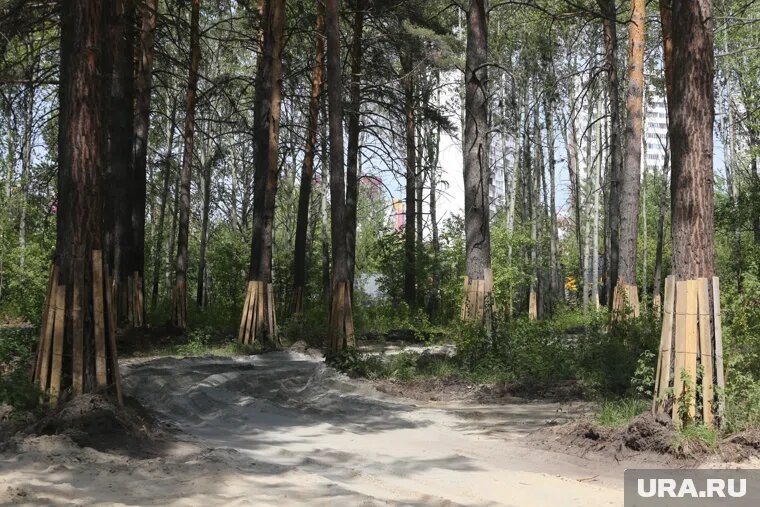 На строительство новой зеленой зоны заложили около 800 миллионов рублей Фото: Денис Моргунов © URA.RU