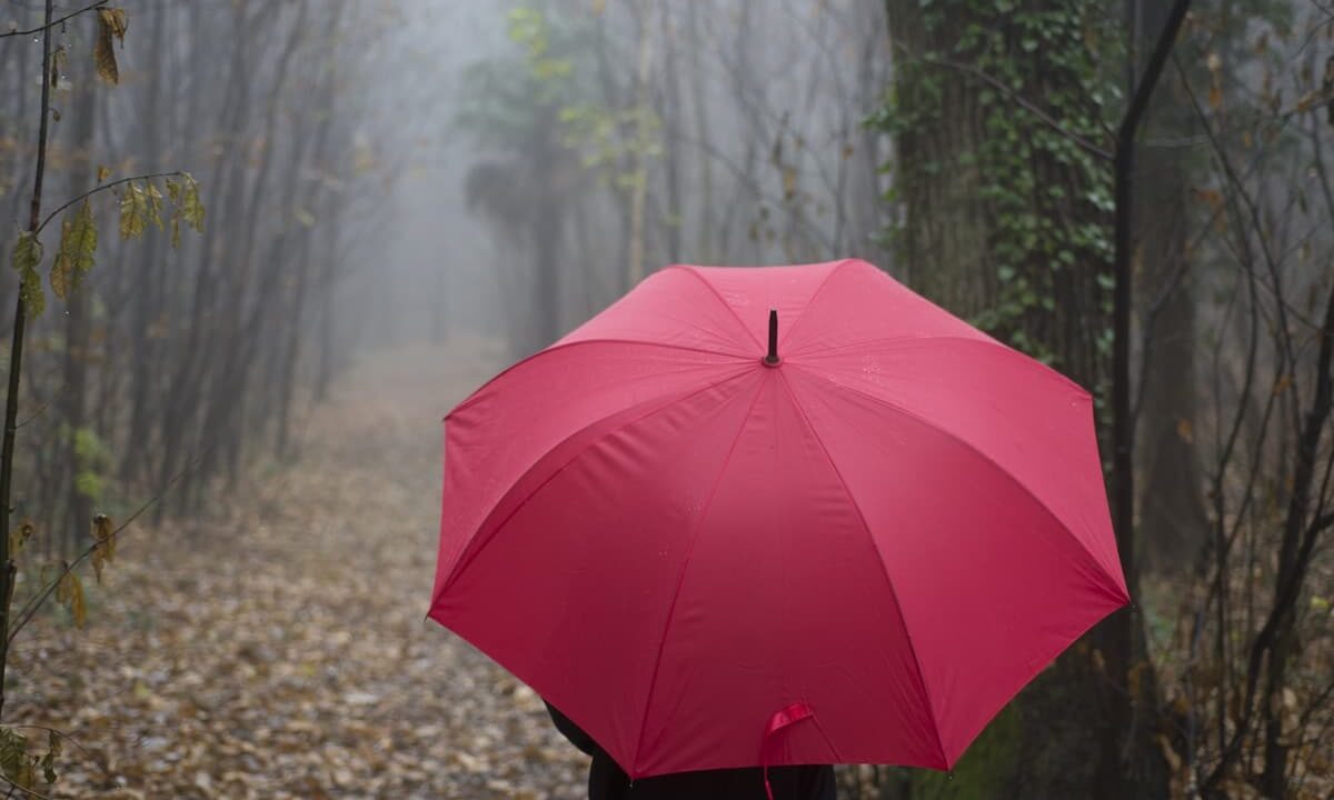    Фото freepik.com