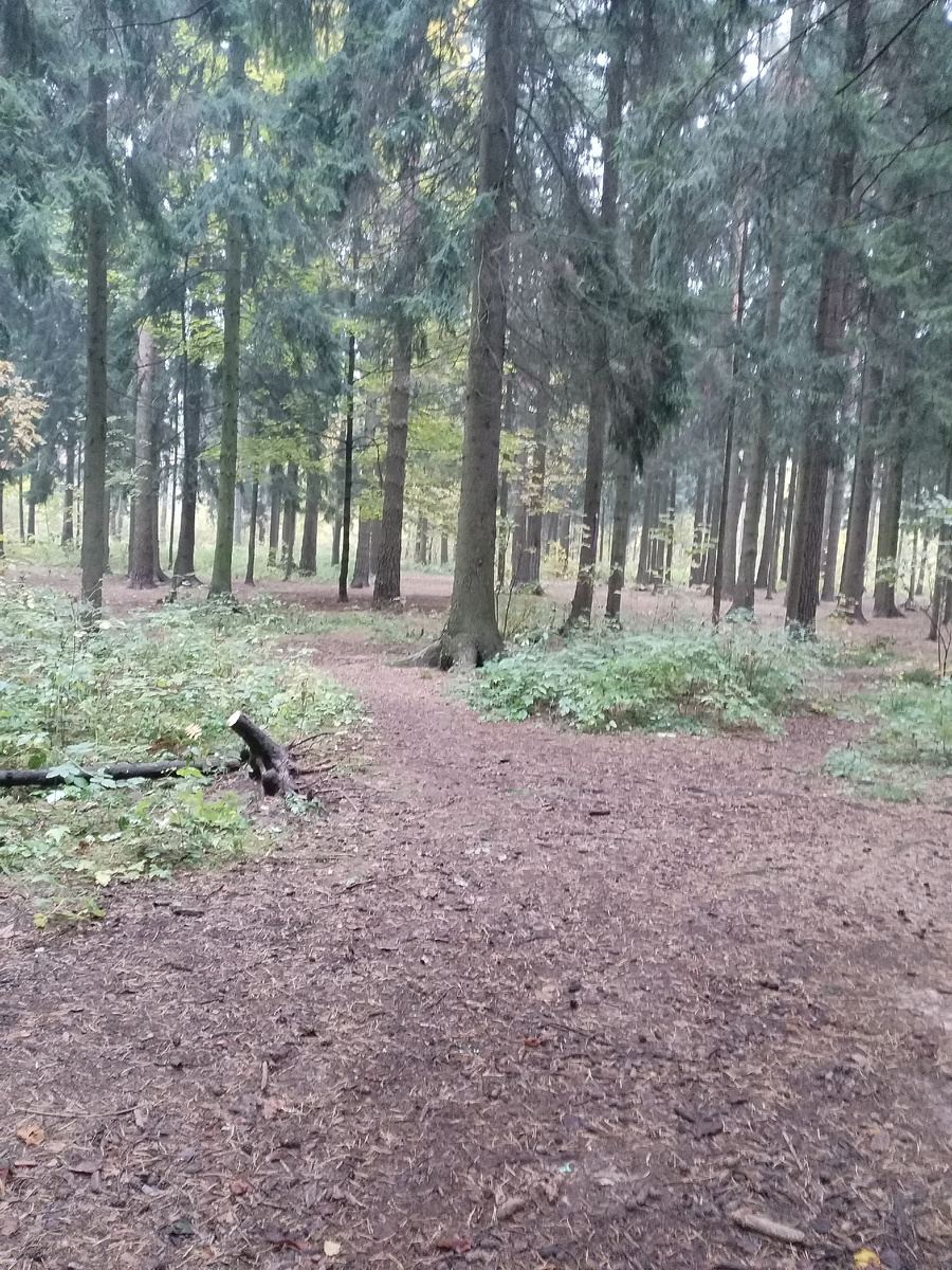 Фото автора. 