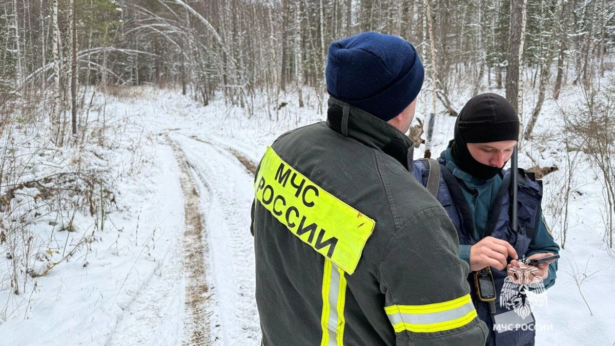   @mchskrsk / Telegram