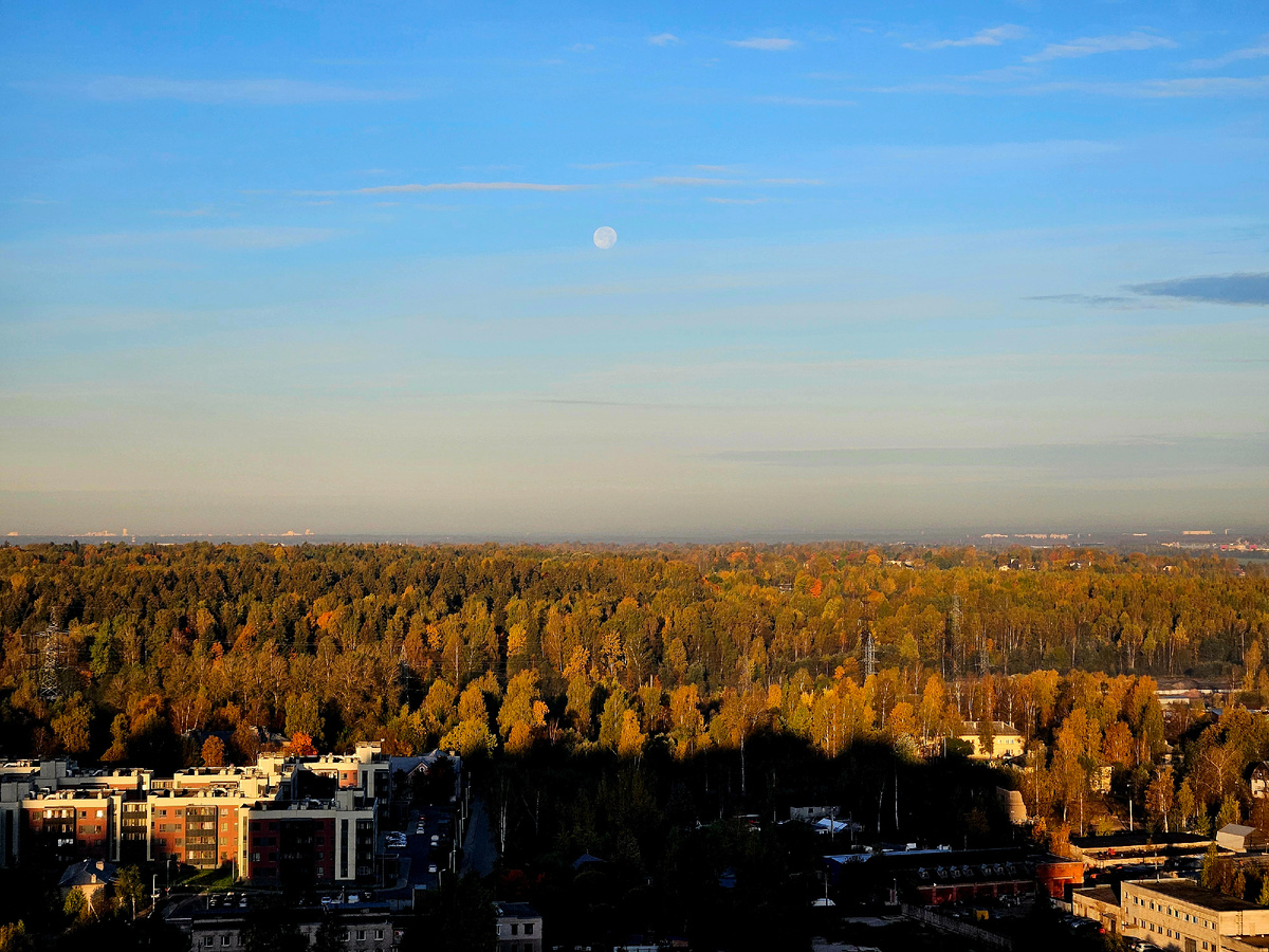 Супер Луна над Шуваловским парком.