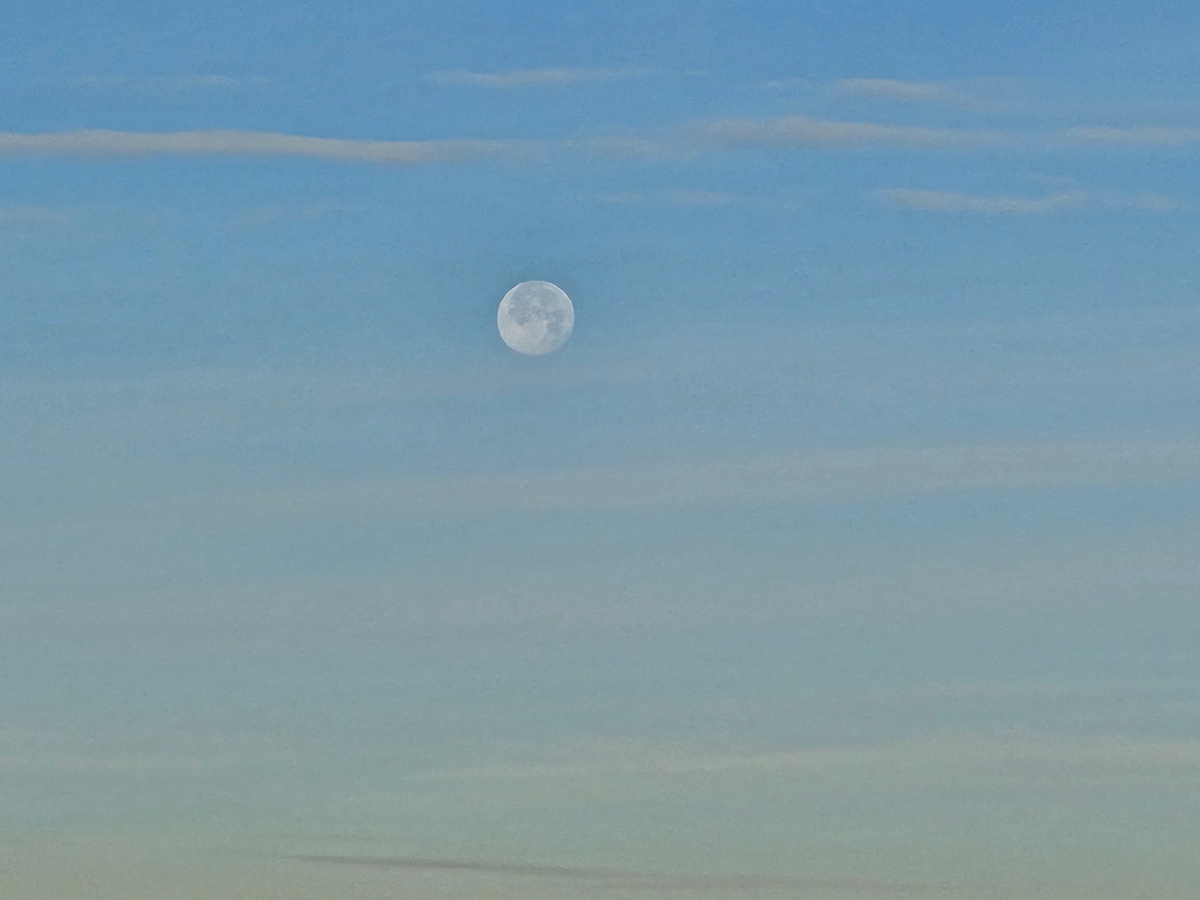 Супер Луна над Шуваловским парком.