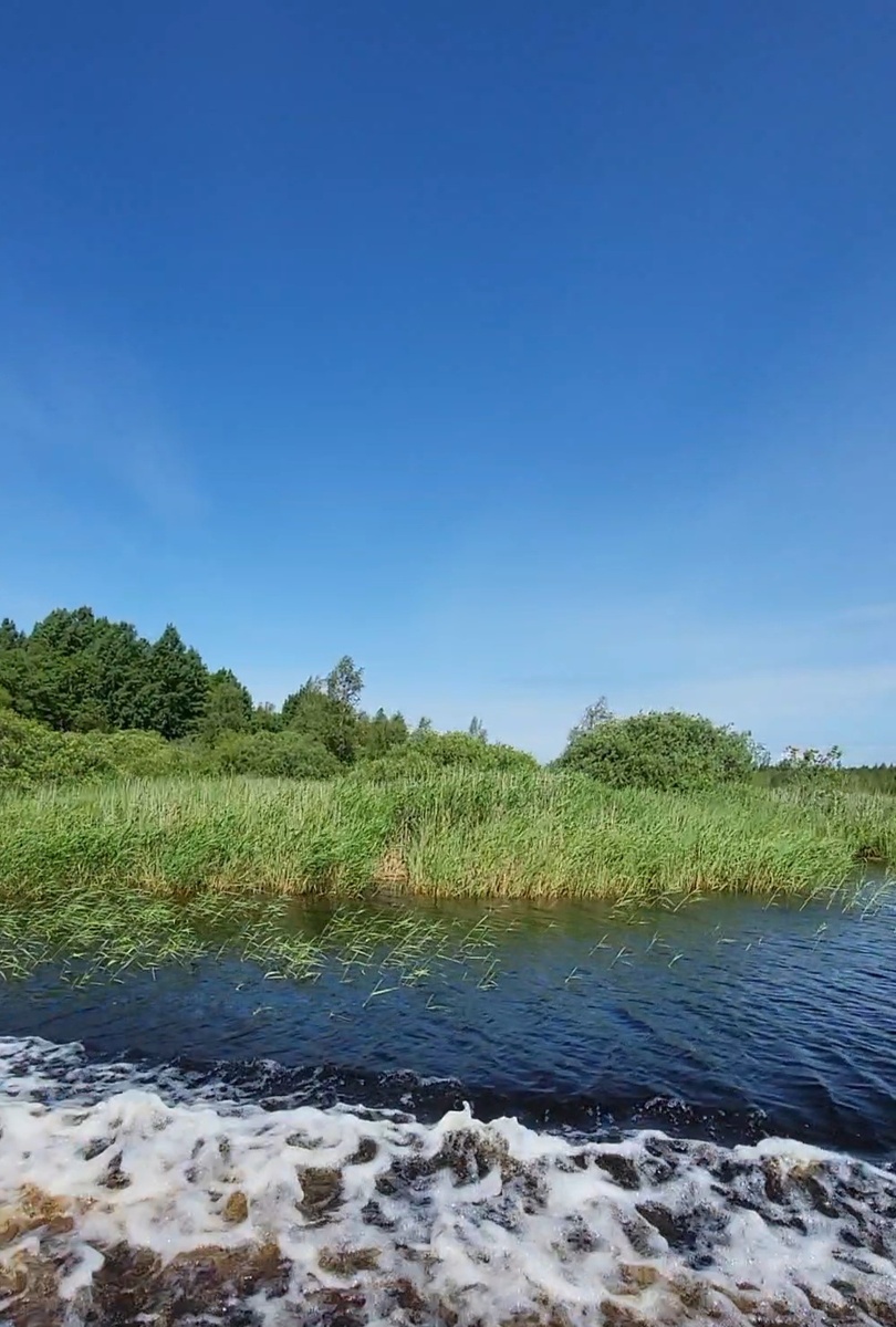 Река Толбица, фото из личного архива