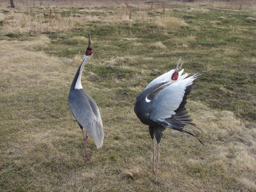 Фото с официального сайта Муравьёвского парка