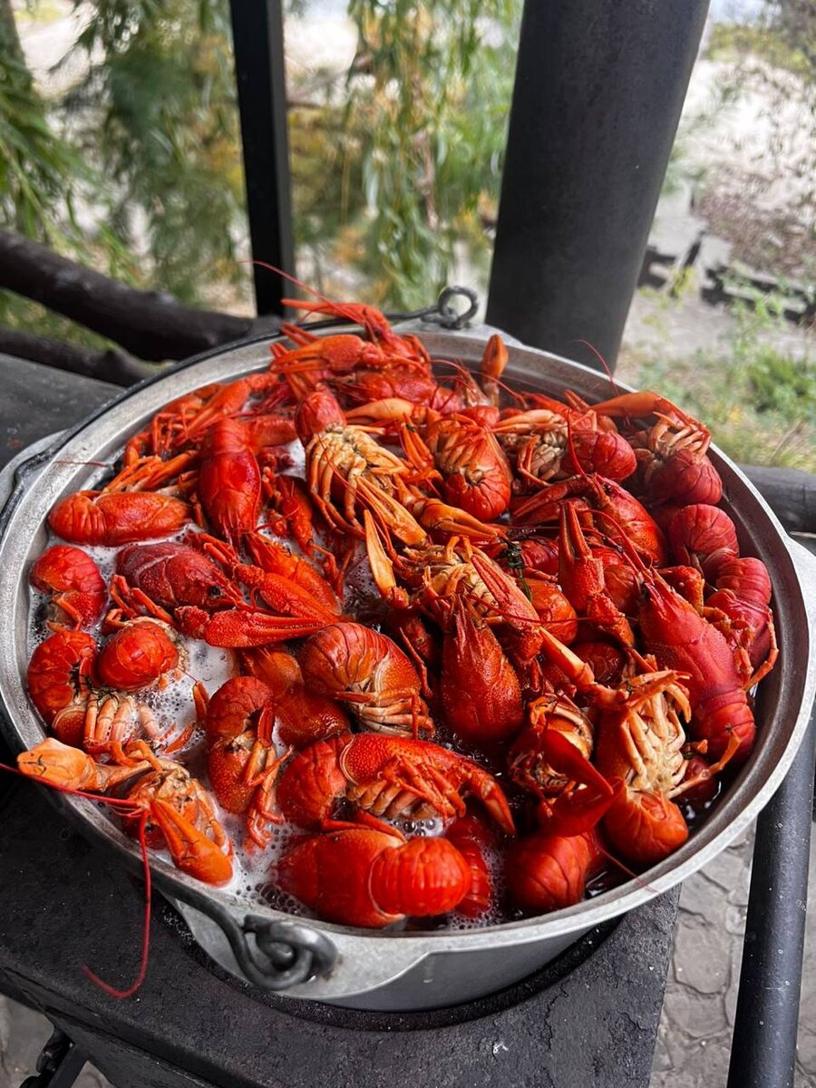 Рыболовная база "Тортуга36"