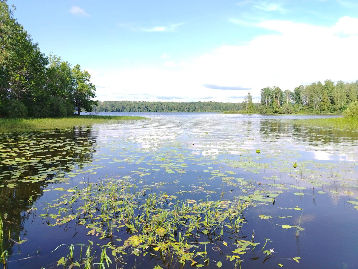 Фото автора.