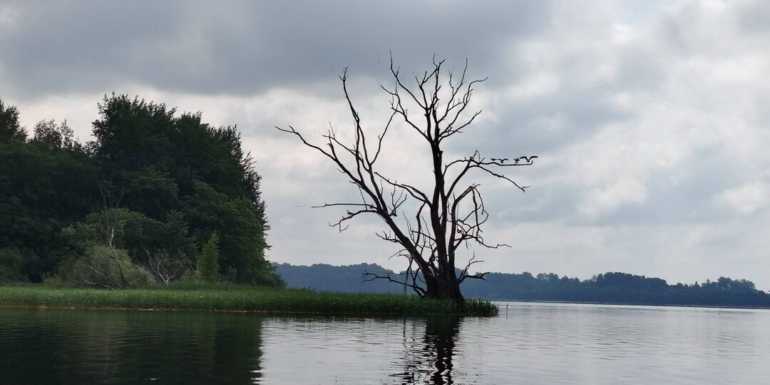 Первый трофей