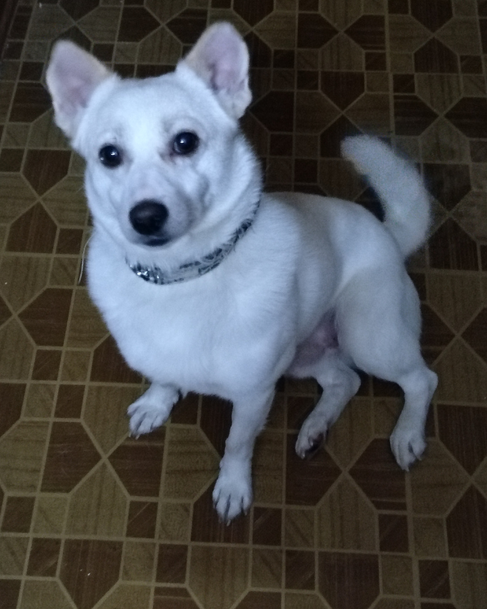 Беня провожает на работу