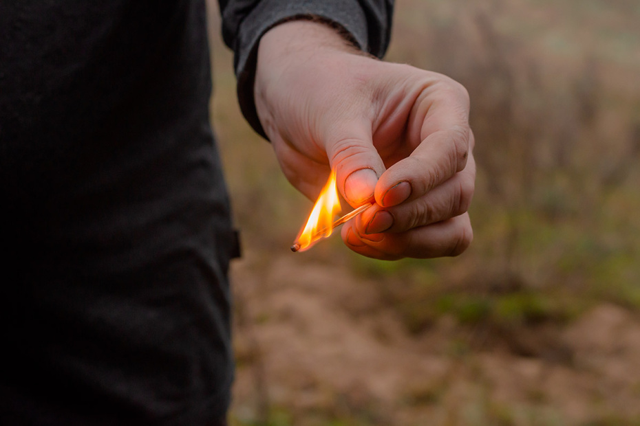    Shutterstock/FOTODOM