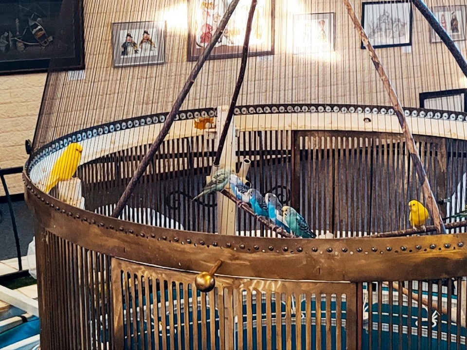   Анастасия АСТАШОВА