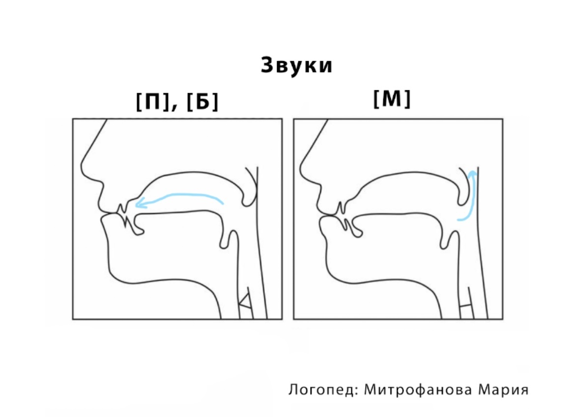 Изображение автора статьи 