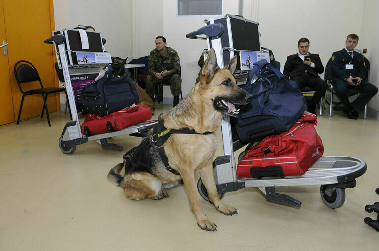   Игорь Самохвалов/ПГ