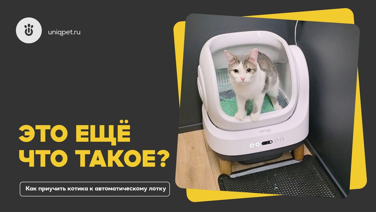 Котоэксперт UNIQPET Эклер из г.Тула