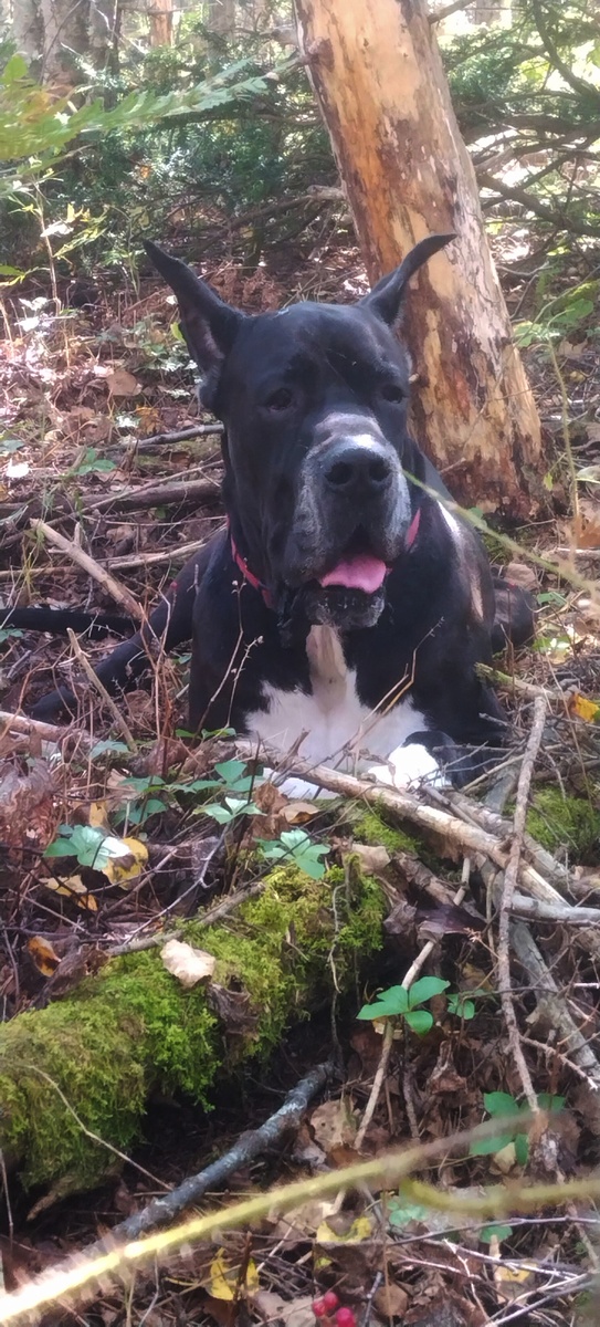 Гор-Рыбнадзор.