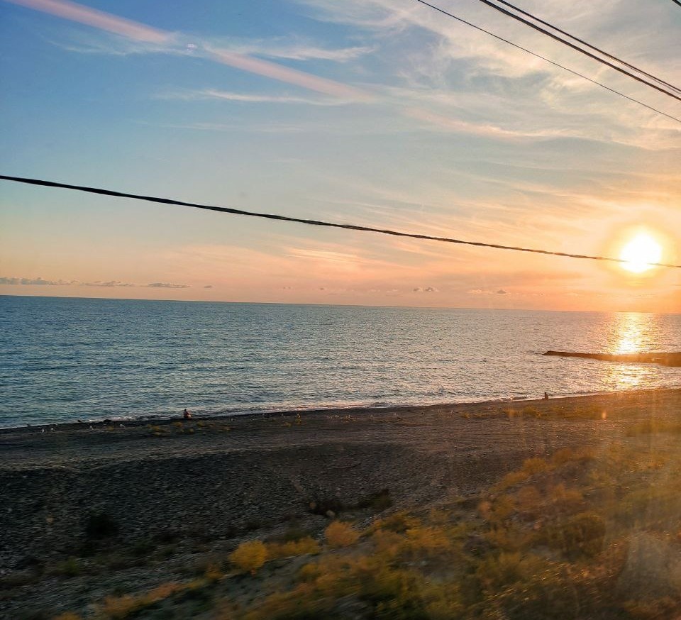 Вид из электрички