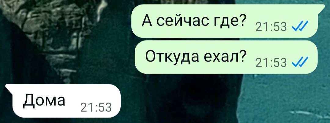Опа! Оглянулась по сторонам. Неа, только коша и муж. Значит не здесь он "дома" 🤷‍♀️