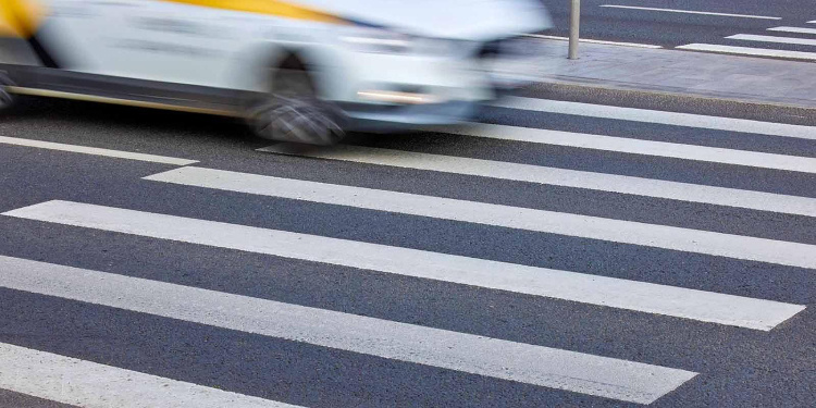    Фото: Максим Денисов. Mos.ru