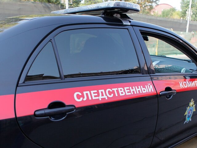    Фото: Москва 24/Евгения Смолянская