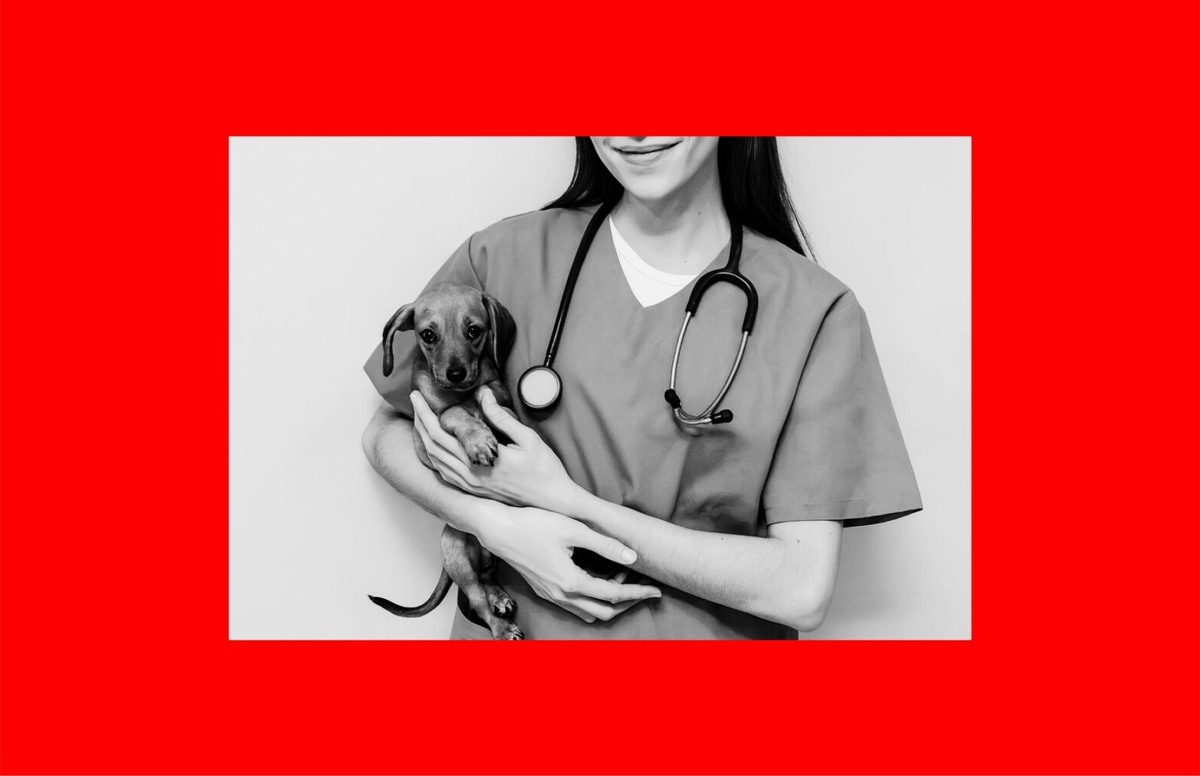    Фото: Unsplash, архив пресс-службы