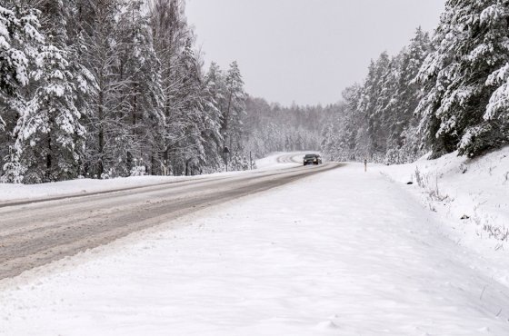 Фото: Российская газета