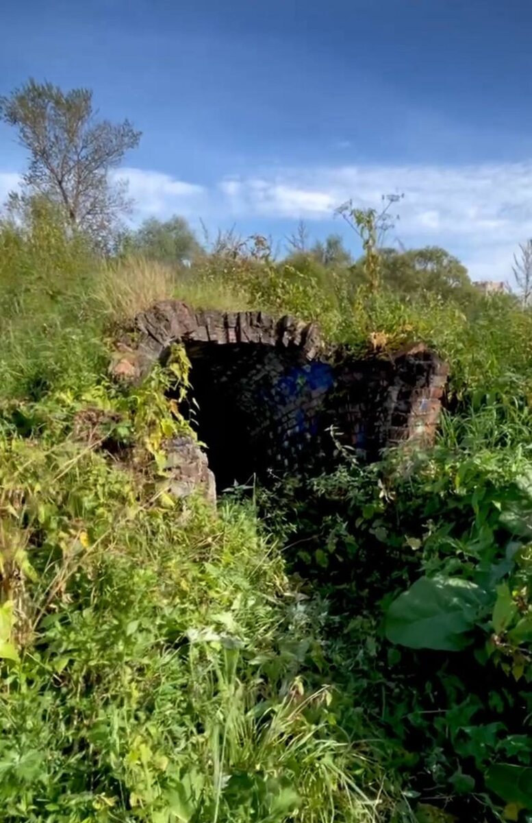 Вот такой загадочный ход вел куда то