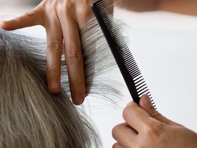    Фото: 123RF/taira42