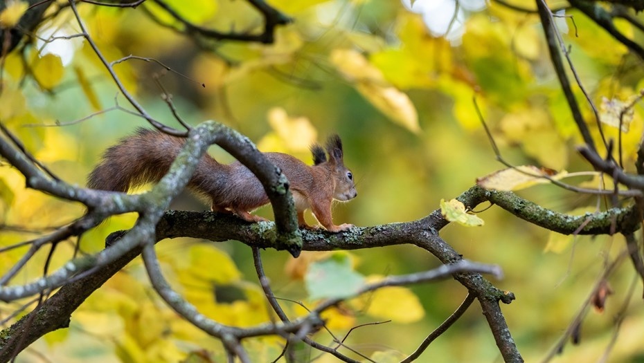 Автор фото: Тихонов Михаил/"ДП"