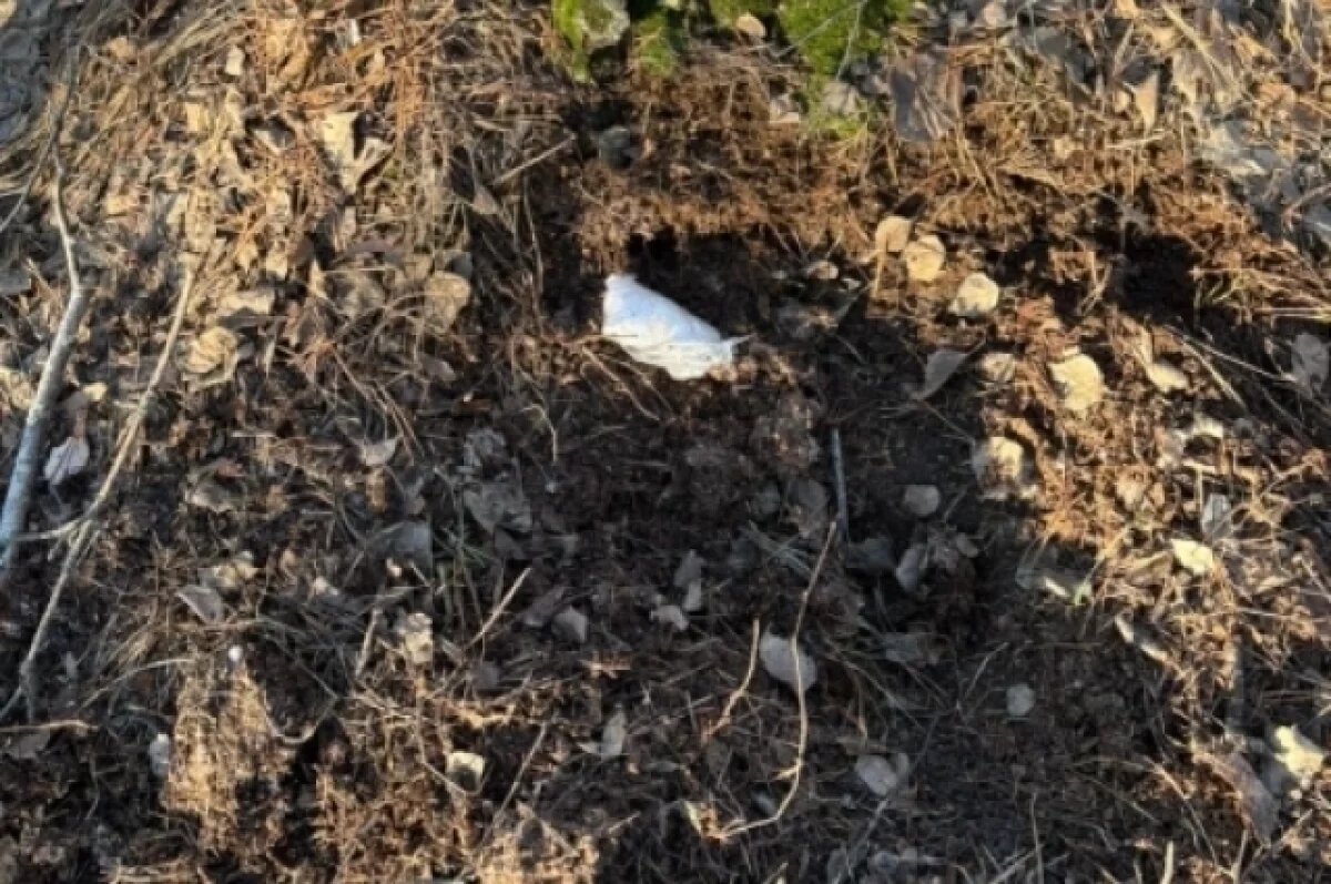    В Калининграде задержали женщину, сделавшую 37 «закладок» с наркотиками