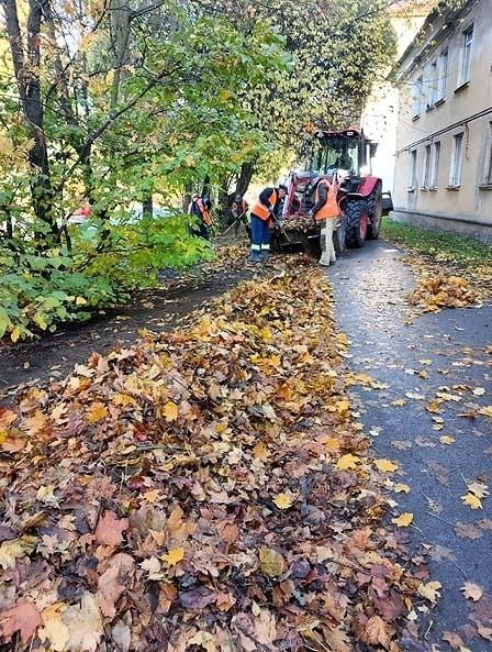    Фото: Администрация Вологды, источник: vologda.gosuslugi.ru