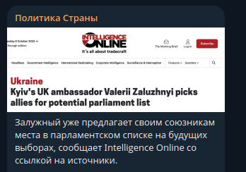    Скриншот: Telegram/"Политика страны"