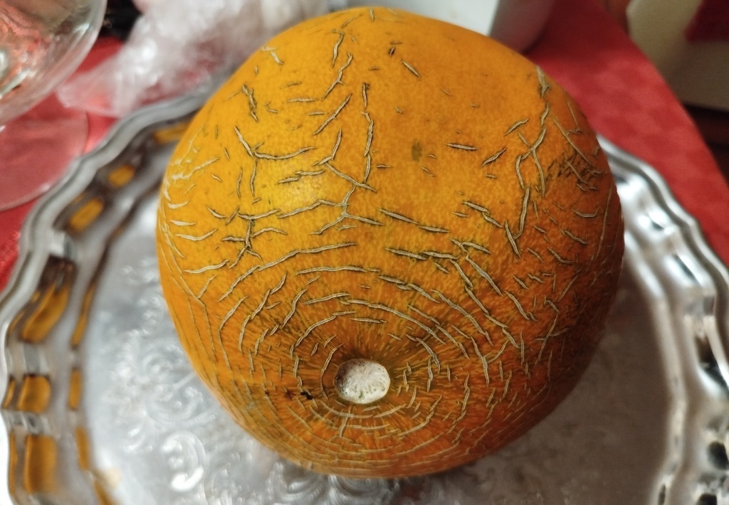  Дыня Колхозница