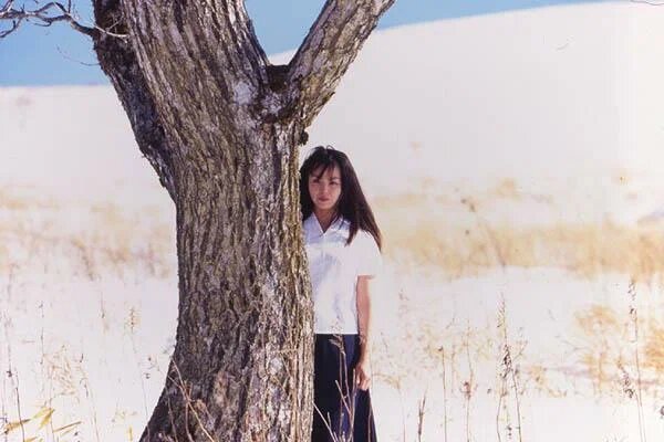 Жду урожая яблоков. Источник: Яндекс.картинки