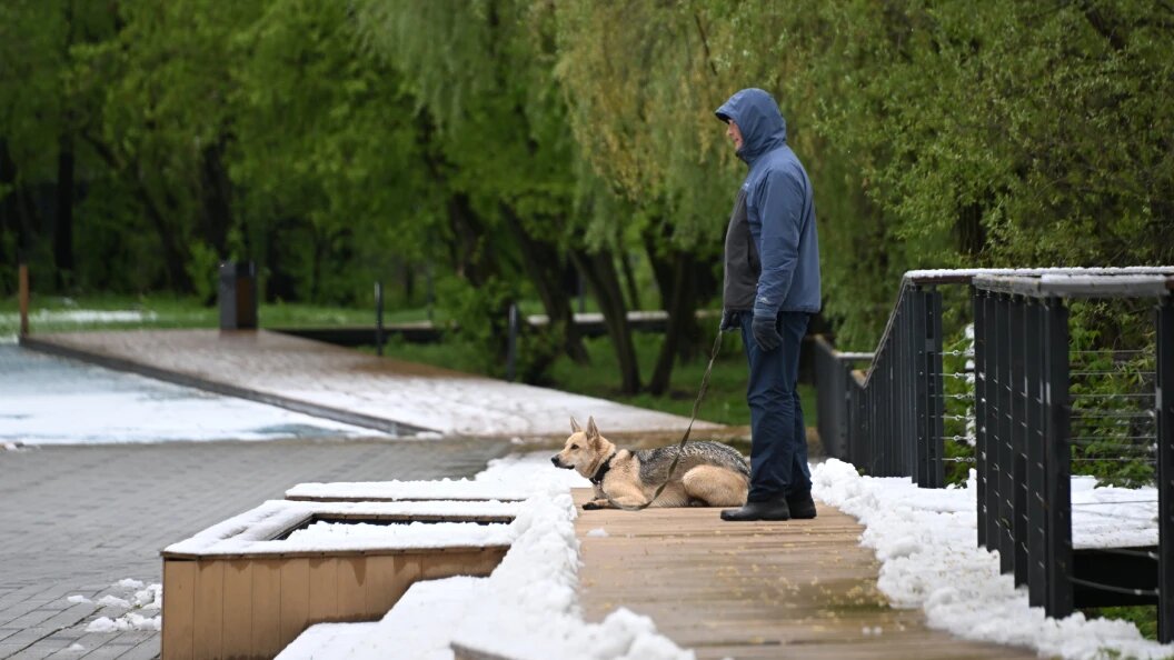    Фото: Maksim Konstantinov/Global Look Press