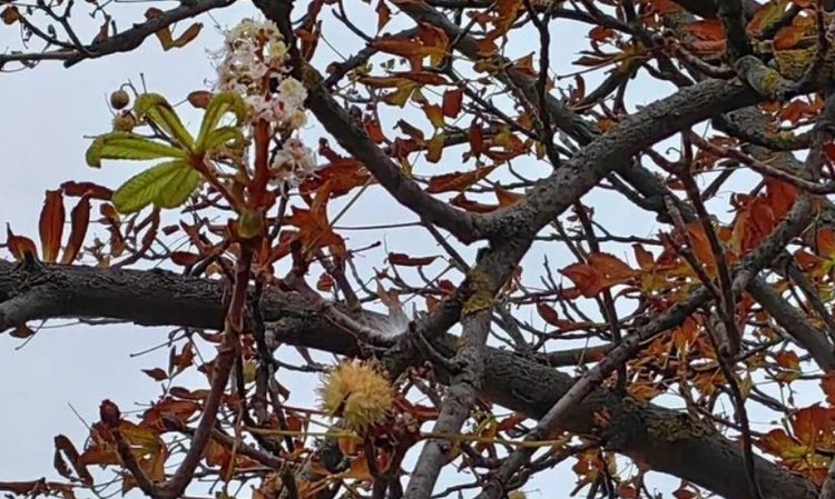    Фото: Наталья Зубач