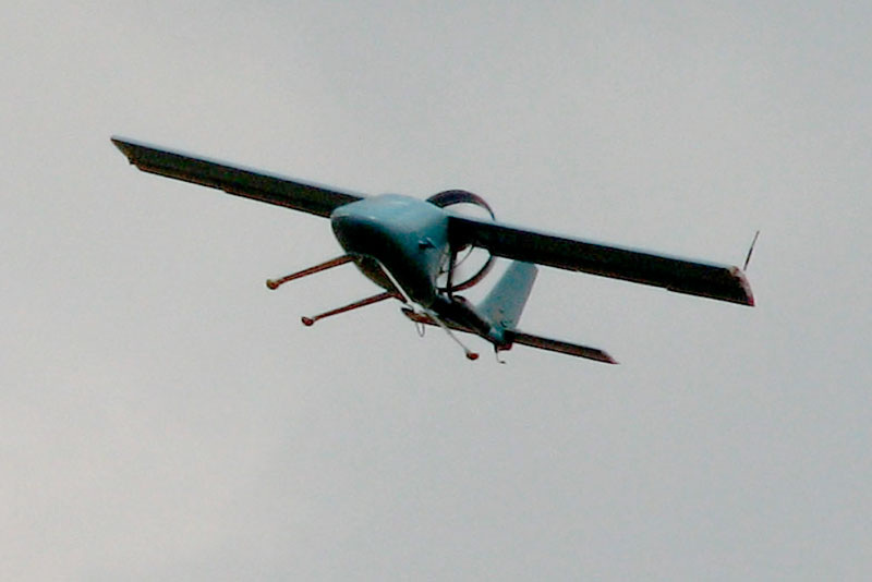     Фото: (Фотосток Wikimedia Commons