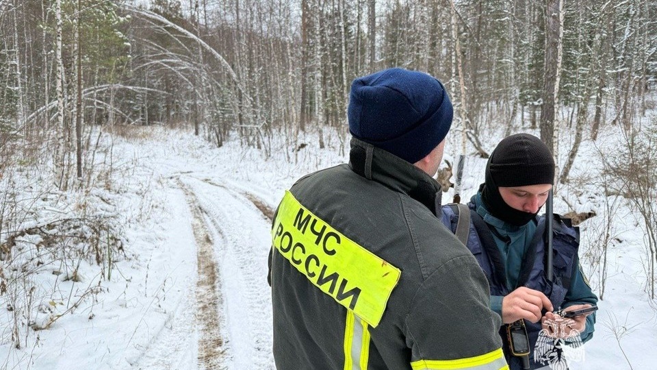 «Могли упасть в провал»: озвучена новая версия об исчезновении в тайге семьи из Красноярского края