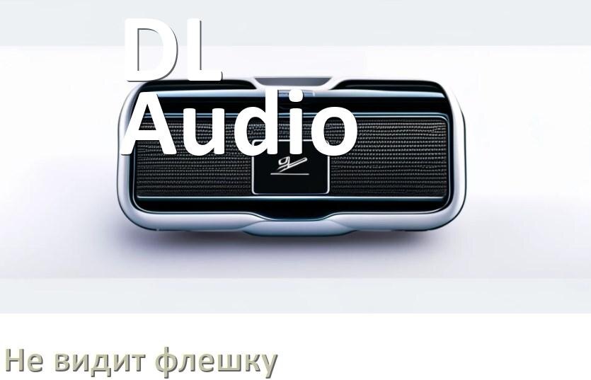 
Почему магнитола DL Audio не видит флешку и не читает