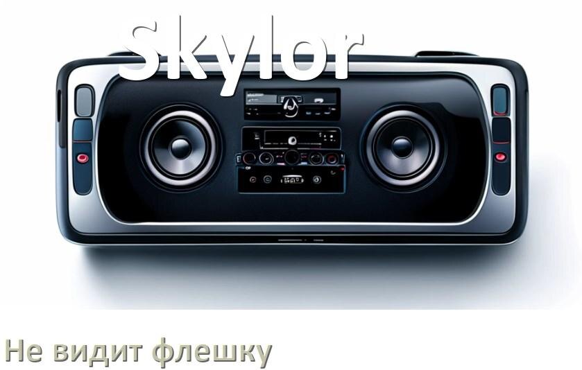 
Почему магнитола Skylor не видит флешку и не читает