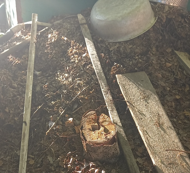 Я собираю листья в большую кучу, придавливаю ее грузом, за зиму они уплотняются - отличная мульча получается