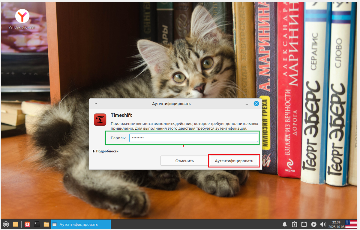 Чтобы открыть Timeshif нужно ввести пароль от своей учетной записи пользователя