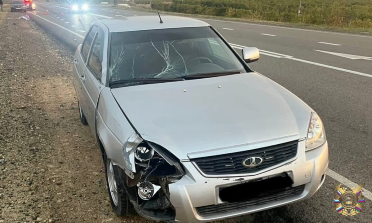    Фото t.me/gibdd123region