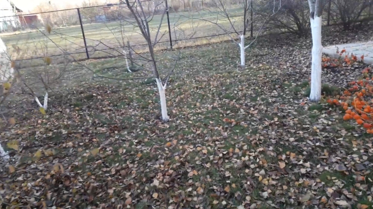 Эстетичная красота.