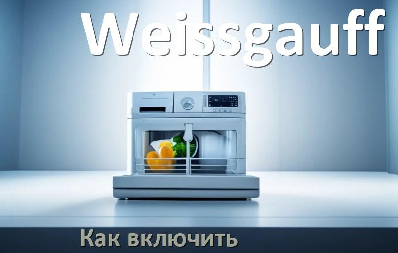 
Как включить посудомоечную машину Weissgauff правильно