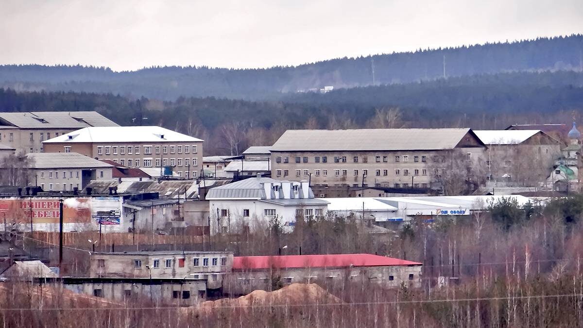    Фото: Shutterstock