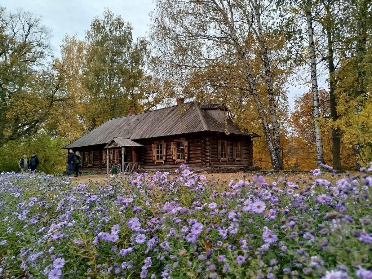 так автор видит "деревинг"