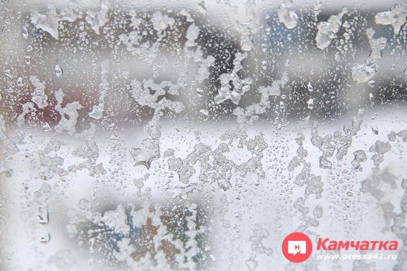 Фото  ИА «Камчатка» (архив)