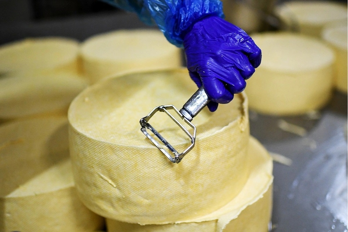    Фото: Константин Михальчевский, источник: ria.ru